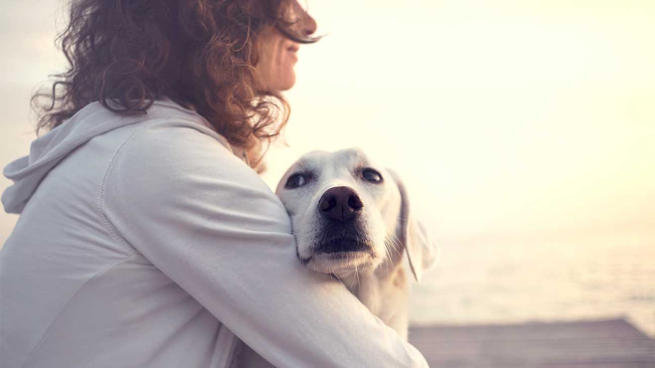 Does Insurance Cover Pet-Friendly Rehab?