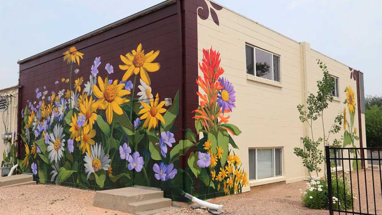 Clinic For Mental Health And Wellness, Laramie, Wyoming