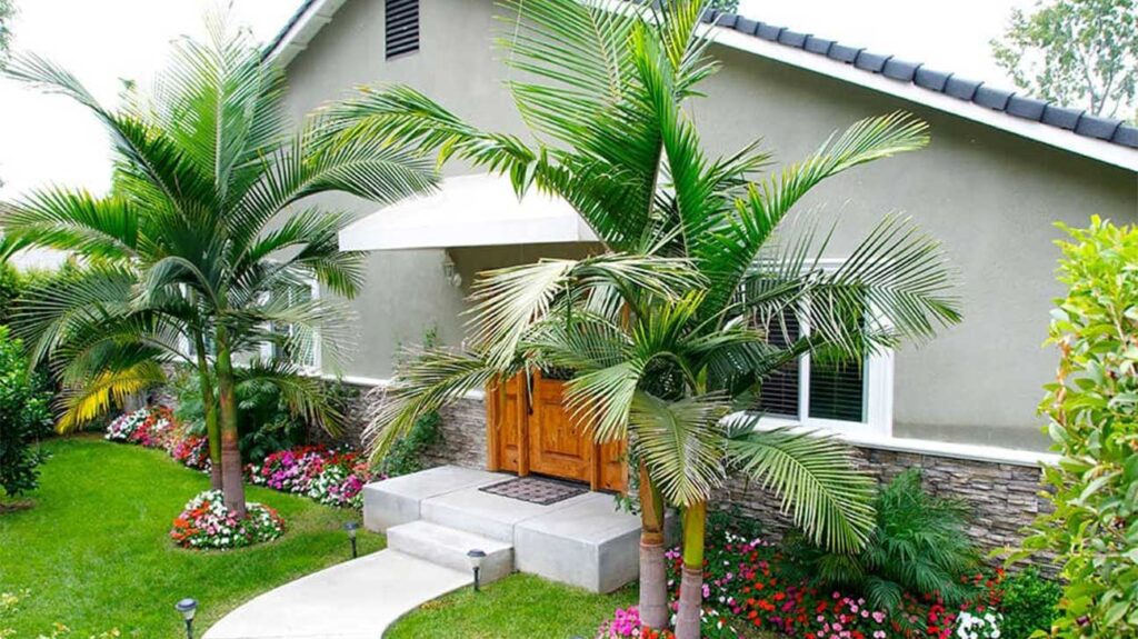 The Discovery House | Reseda, CA